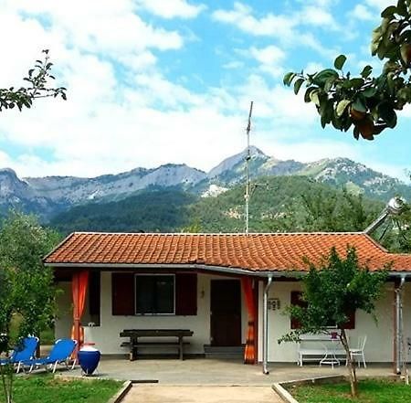 Olive Summer House Chrysi Ammoudia Exterior photo