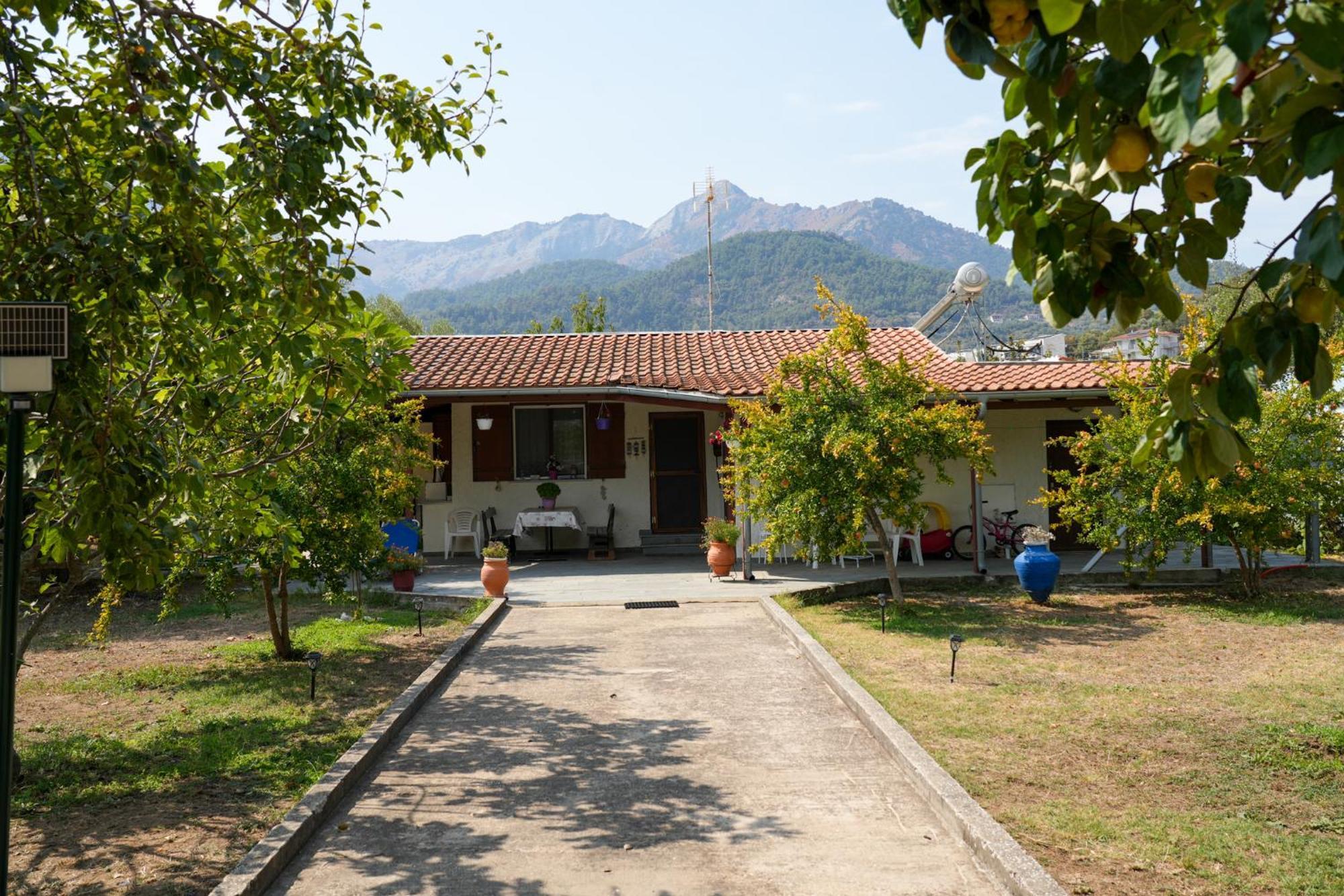 Olive Summer House Chrysi Ammoudia Exterior photo