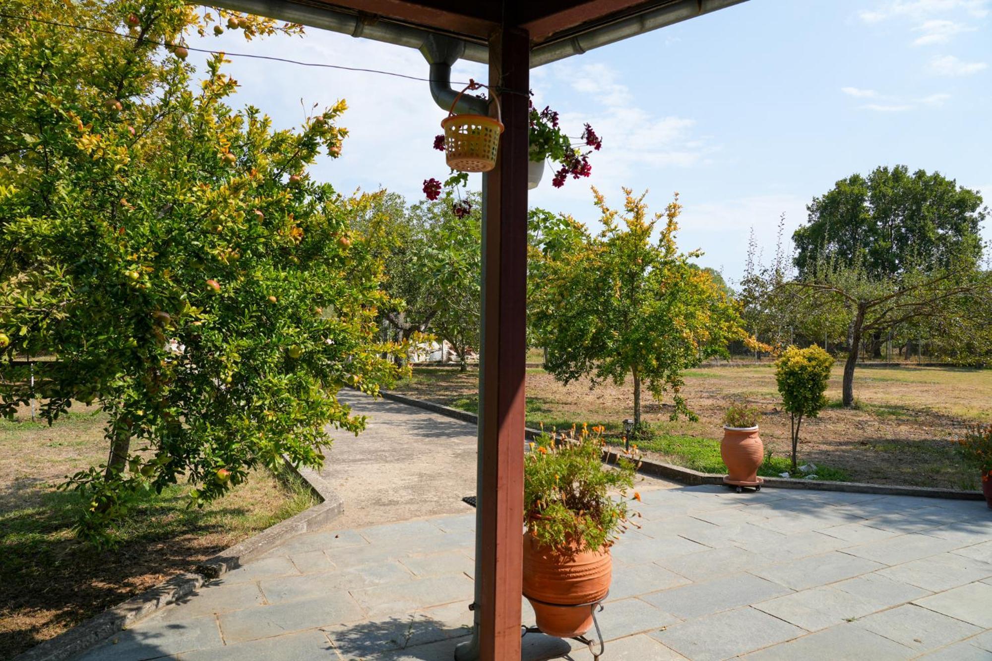 Olive Summer House Chrysi Ammoudia Exterior photo